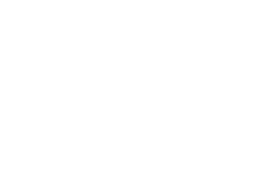 Tarapore & Co.
